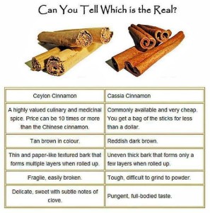 cassia and cinnamon differ